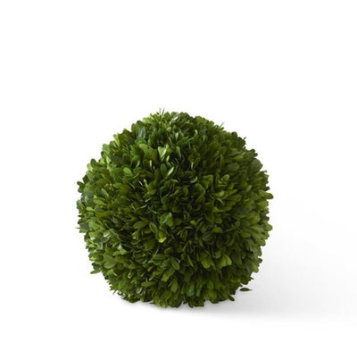 11" Preserved Boxwood Ball