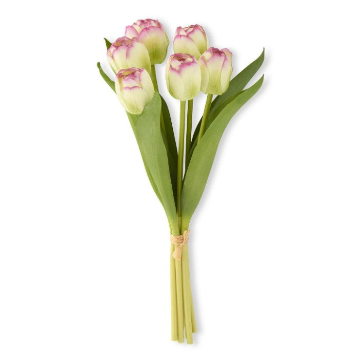 13" Green/Purple Tulip Bundle