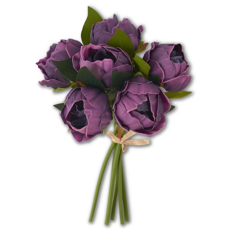 Purple Peony