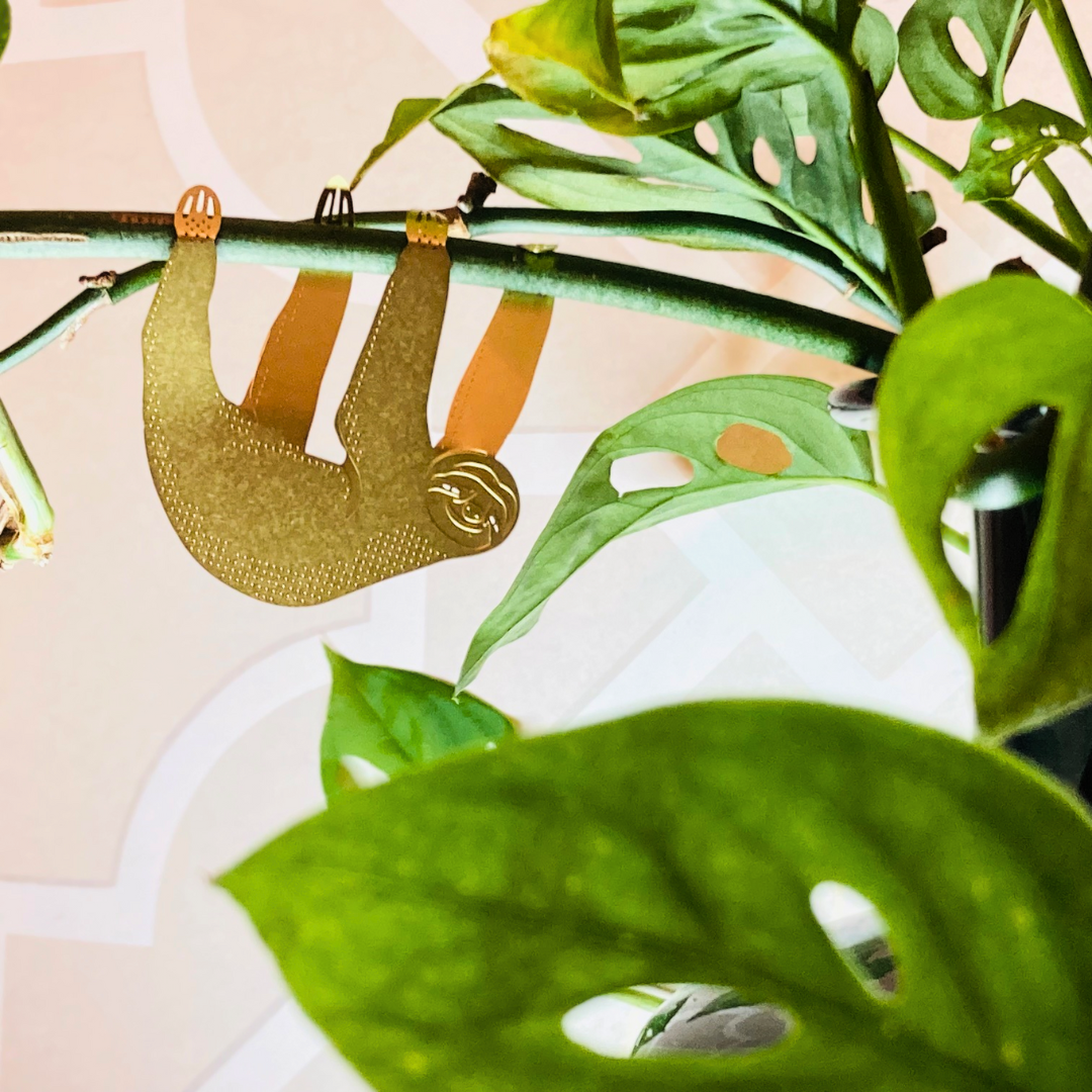 hanging animals for plants Plant Animals – AKInteriorDesign