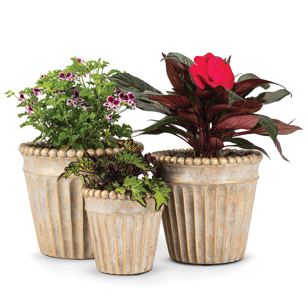 Gold Ball Taper Planter - XS