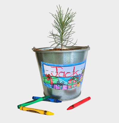 Garden In A Pail