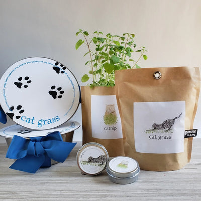 Pet Bowl