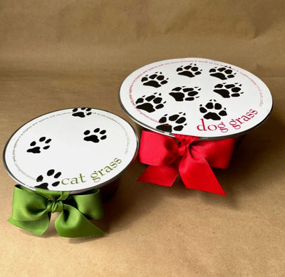 Pet Bowl
