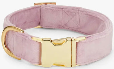 Velvet Dog Collar