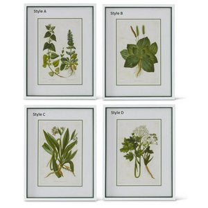 Flowering Green Botanical Prints