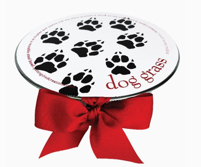 Pet Bowl