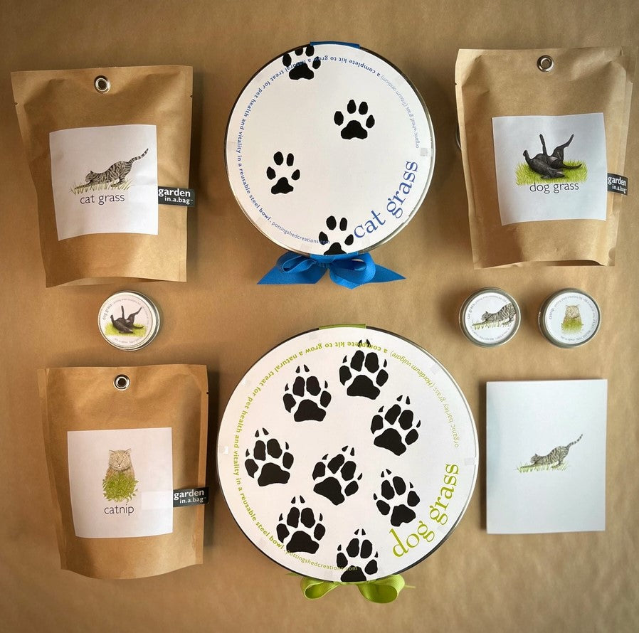 Pet Bowl