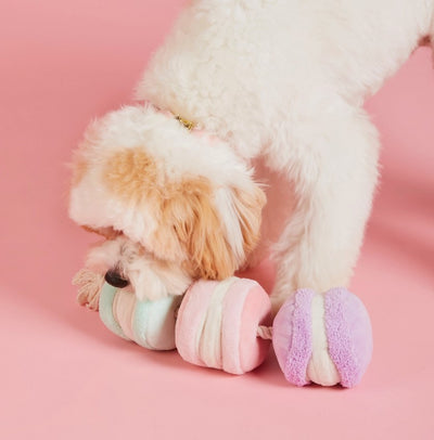 Macarons Interactive Snuffle Dog Toy