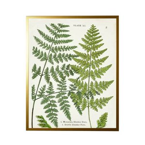 Fern Leaf Prints