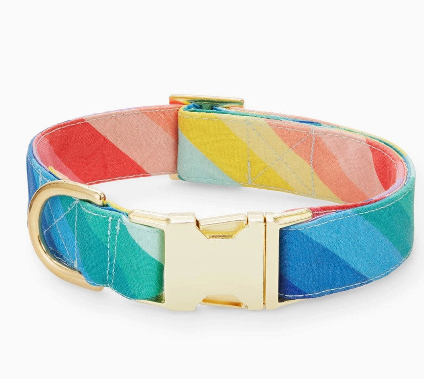Rainbow Dog Collar- M