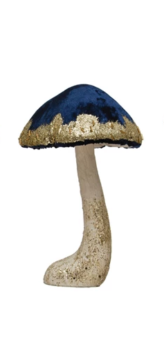 Shimmering Velvet Mushroom