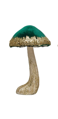 Shimmering Velvet Mushroom